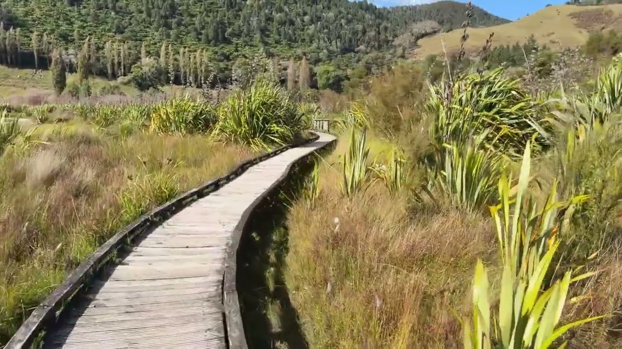 Lake Okareka, New Zealand scenic walk!