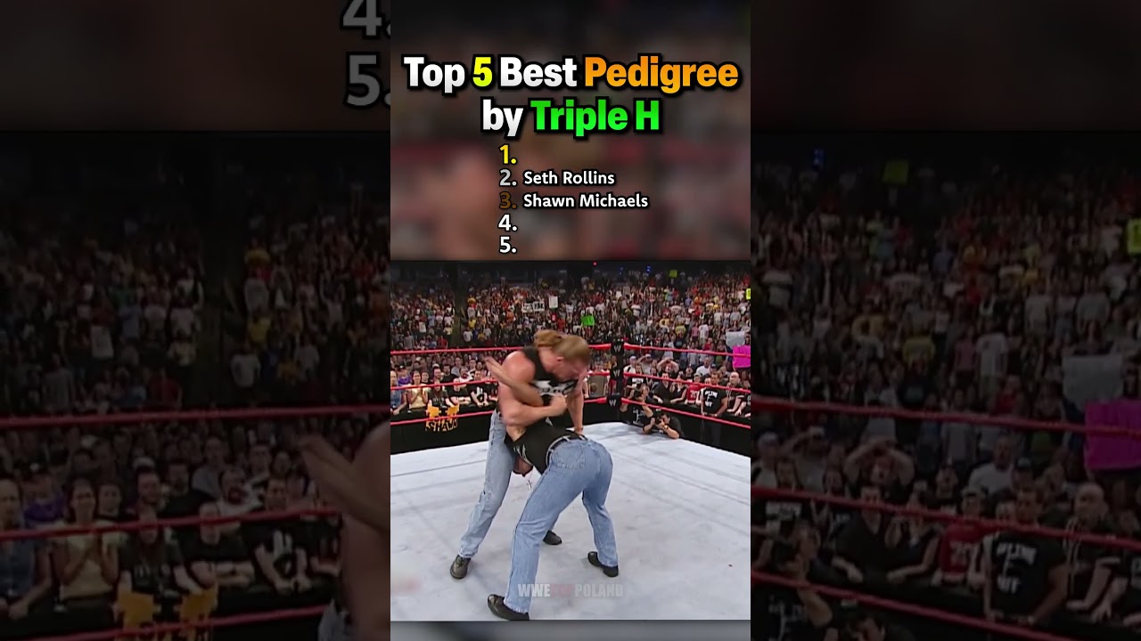 Top 5 Best Pedigree by Triple H 💥
