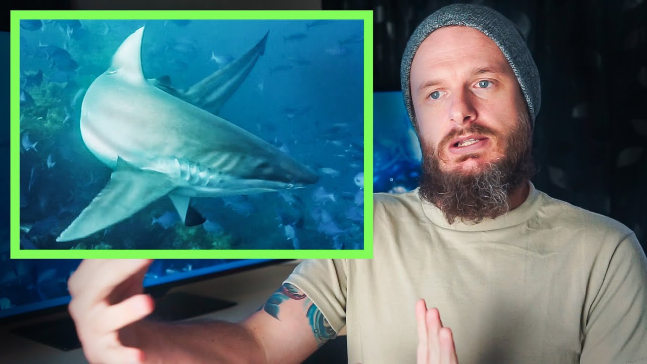Our most INTENSE Spearfishing Vlog? ANGRY SHARKS & DRUNKEN SNAPPER + Fish Preservation (Vlog 5)