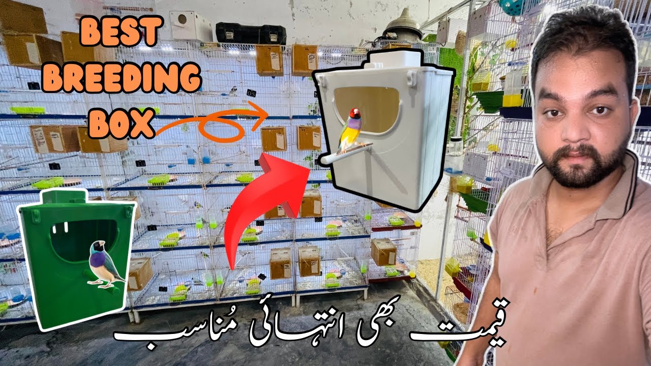 Best Gouldian finch breeding Box || Gouldian finches Breeding box made plastic || Exotic finch&rsquo;s