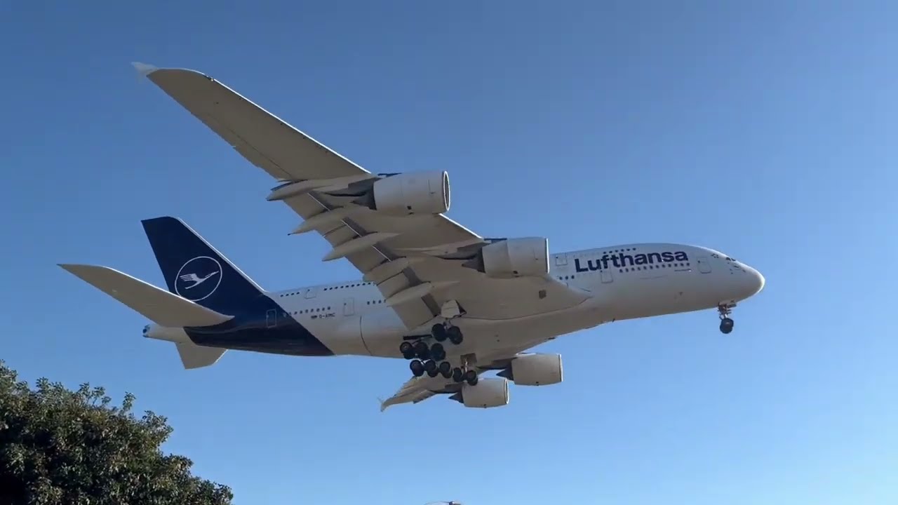 Planespotting at Los Angeles International Airport (11/9/2024)