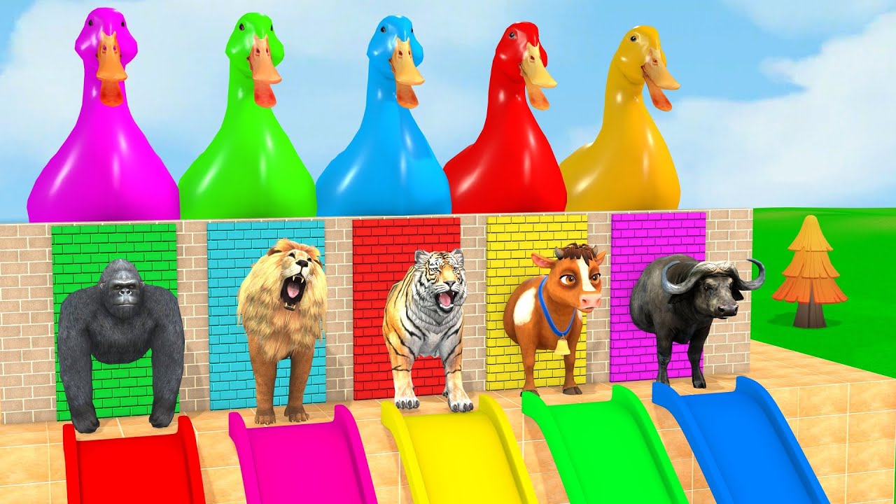 Long Slide Game With Cow Elephant Gorilla Hippopotamus Tiger 3d Animal Game Funny 3d Animals