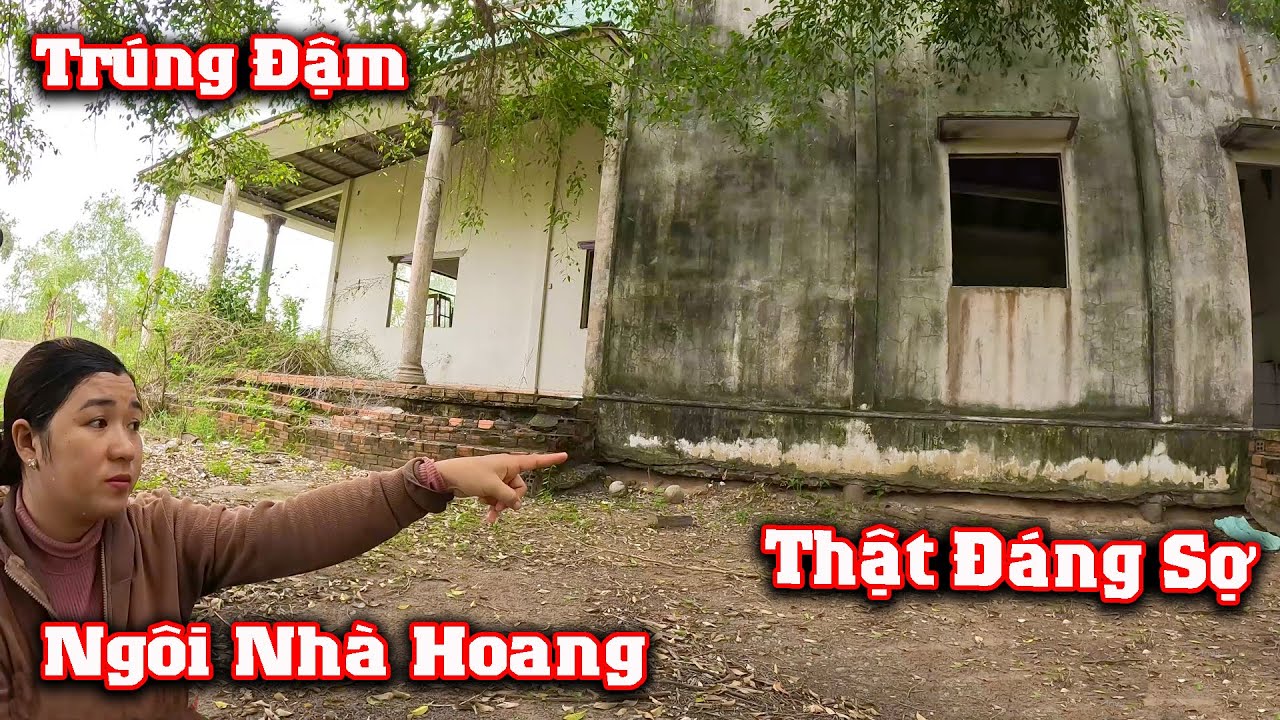 Liều Mình Lắm Mới Dám Vô Đây Săn RẮN Lớn # CSBR # 376