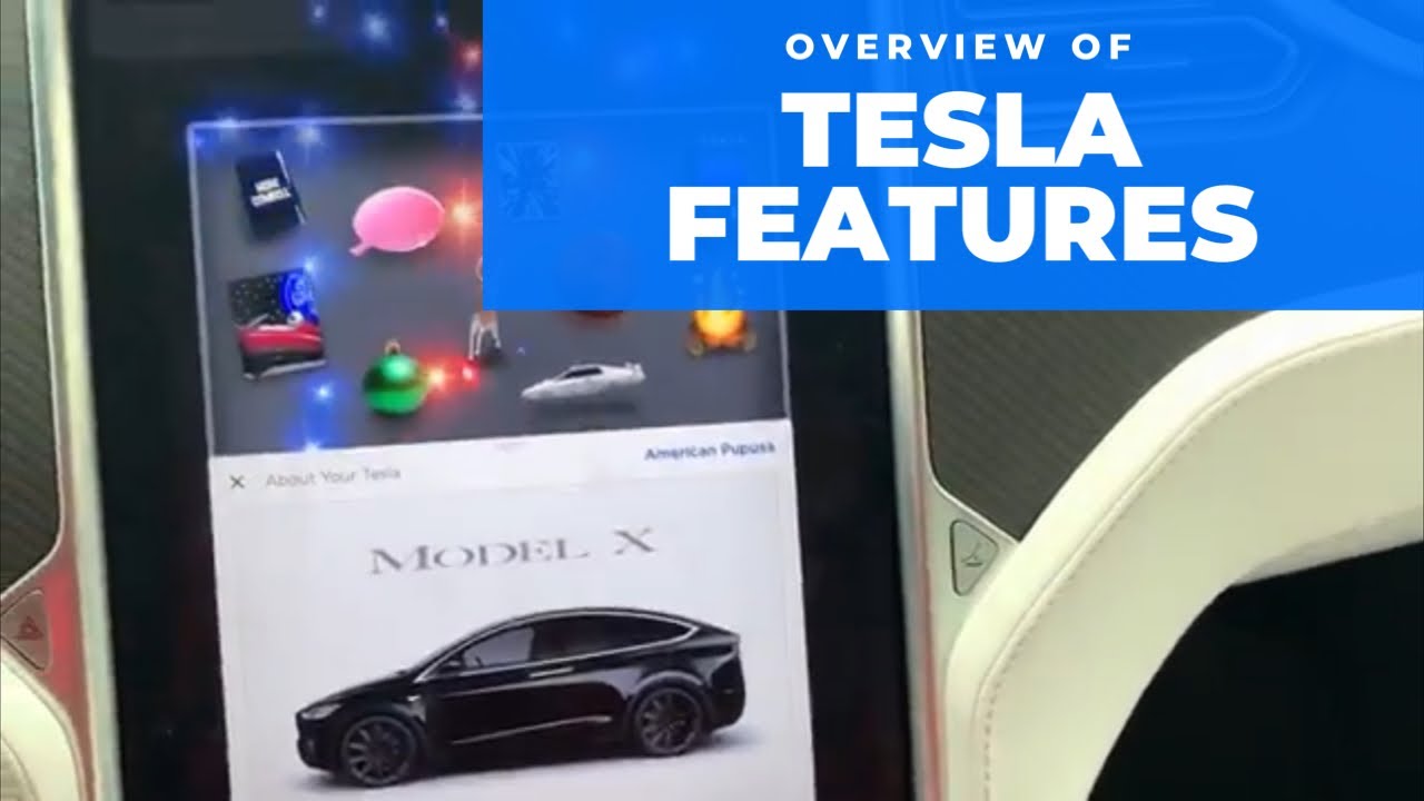 Overview of all the control settings on a Tesla Model X