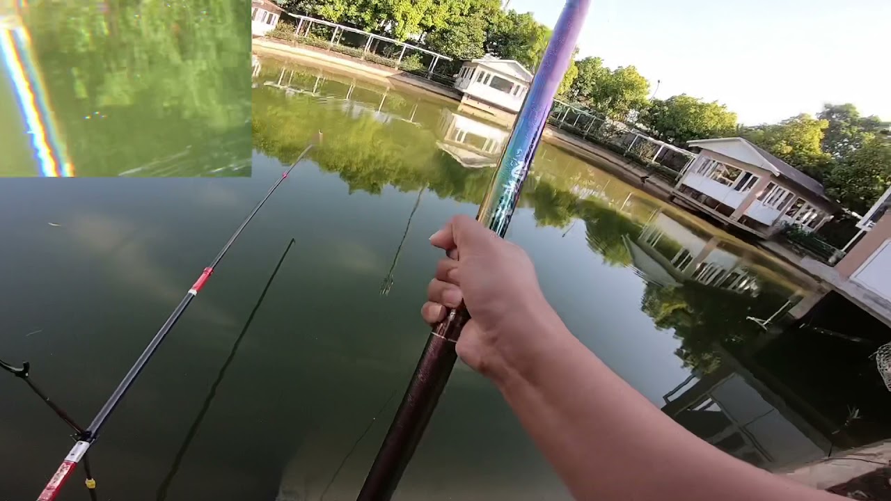 Test Cần C&acirc;u - Guide Phi Thanh Quyết