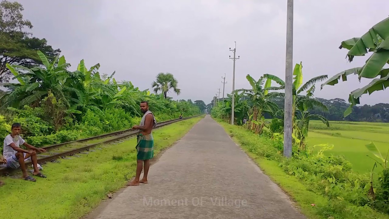 Walking along the railway line । Nice view of the village। relaxing video ।nature Village video