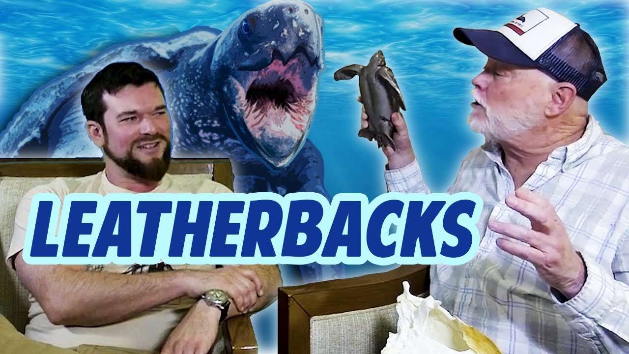 LEATHERBACK TURTLES: An Interview With Scott Benson