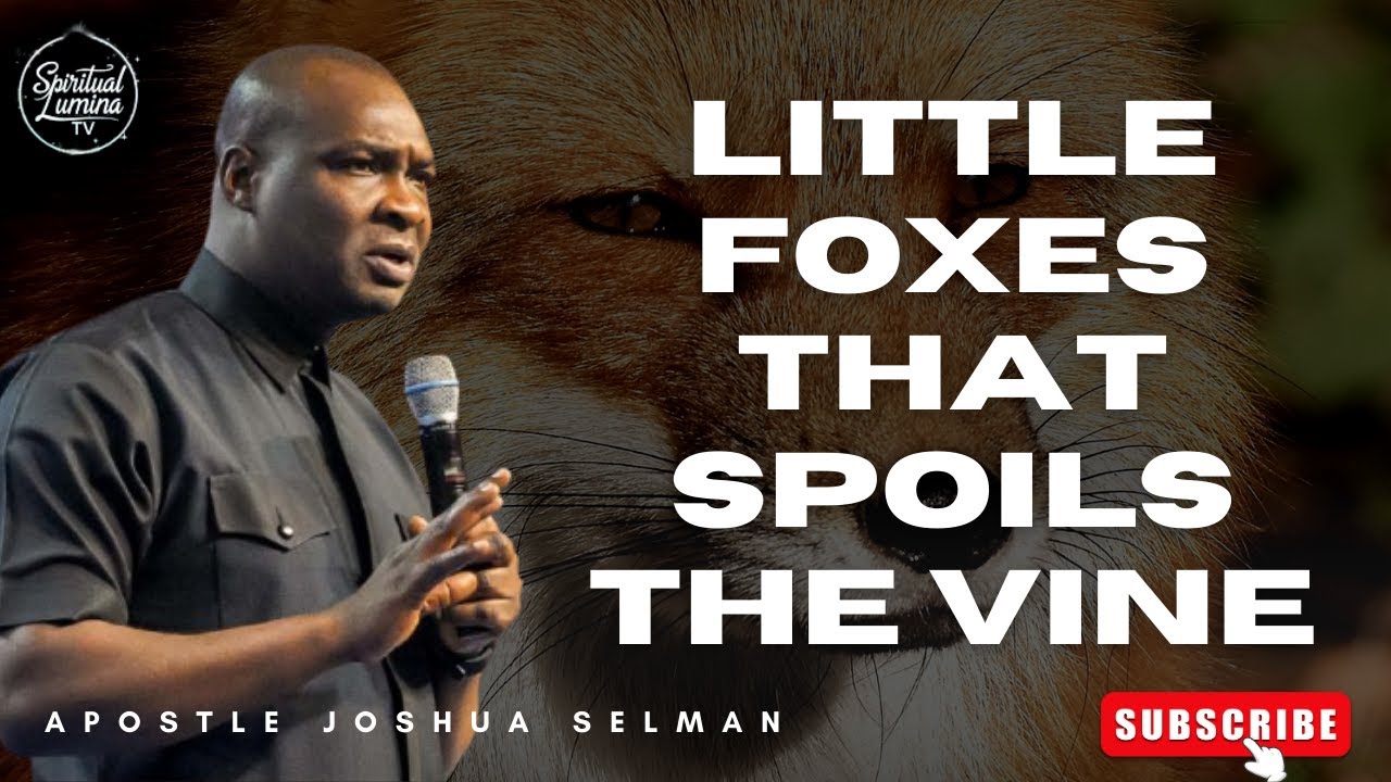LITTLE FOXES THAT SPOILS THE VINE II APOSTLE JOSHUA SELMAN