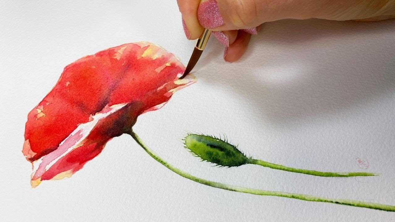 Easy watercolor loose poppy flower - full version
