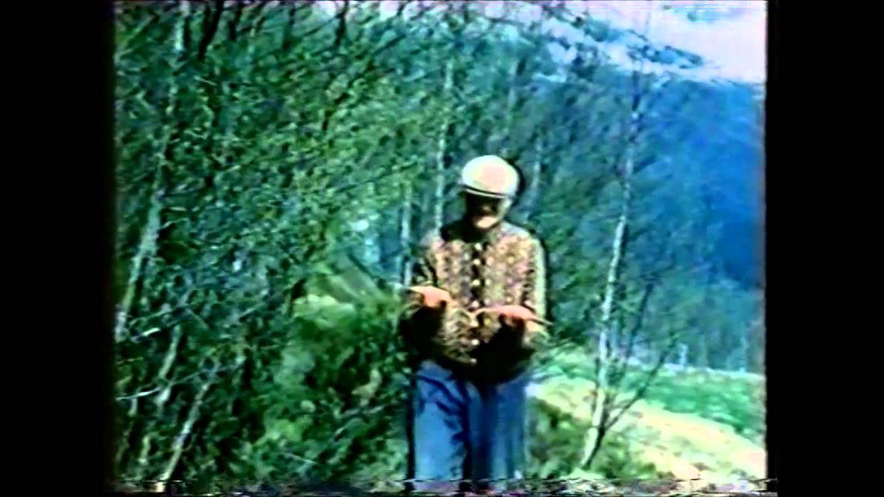 Ønskekvisten med Knut Sandnes
