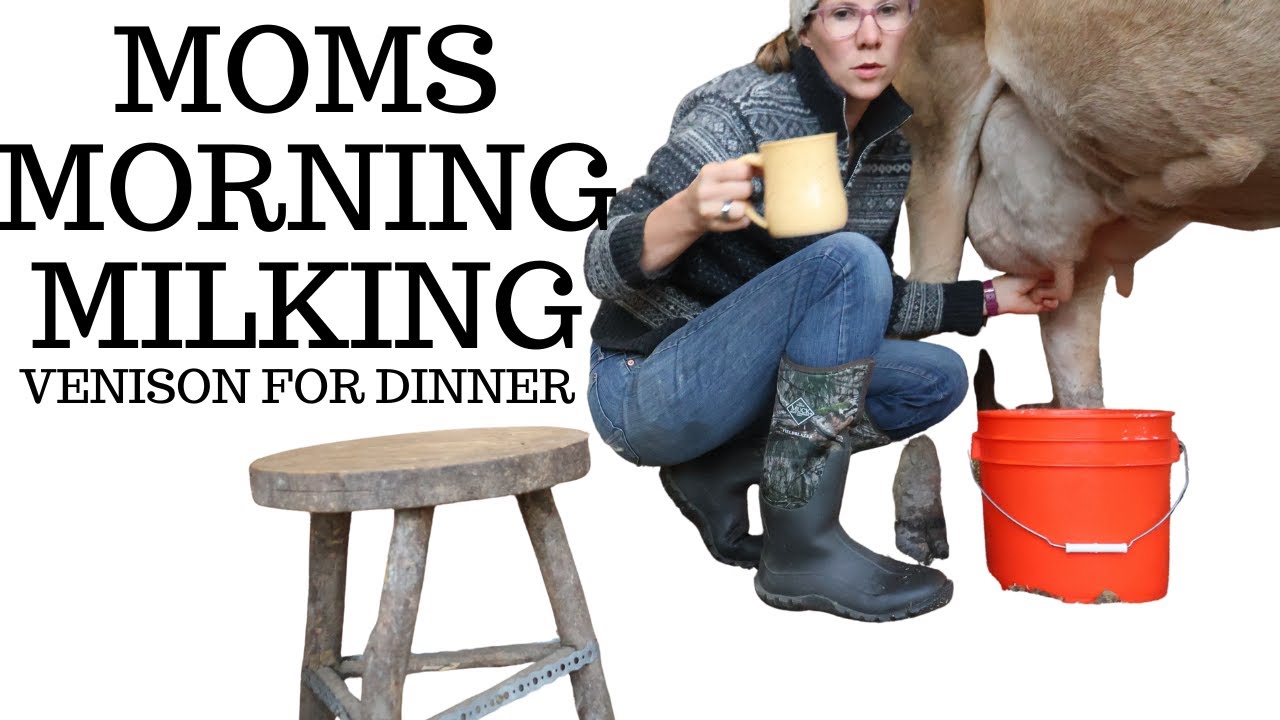 Mom's Morning Milking #homesteader #largefamilymom