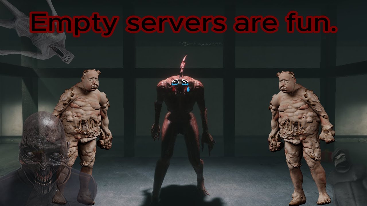 Empty lobbies are fun. I'm serious. | SCP: SL