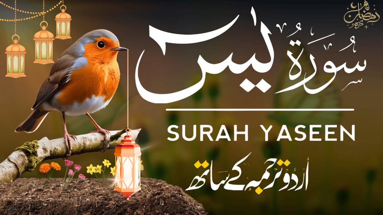 Surah Yaseen | Surah Yaseen With Urdu Translation | Al Furqan Studio | Ep118