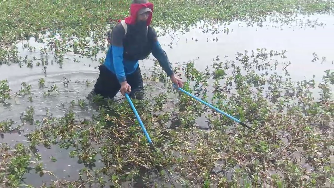 EP 119 Electric fishing | Biglaan Ang pangunguryente din Ako nakapagdala Ng lalagyanan. 