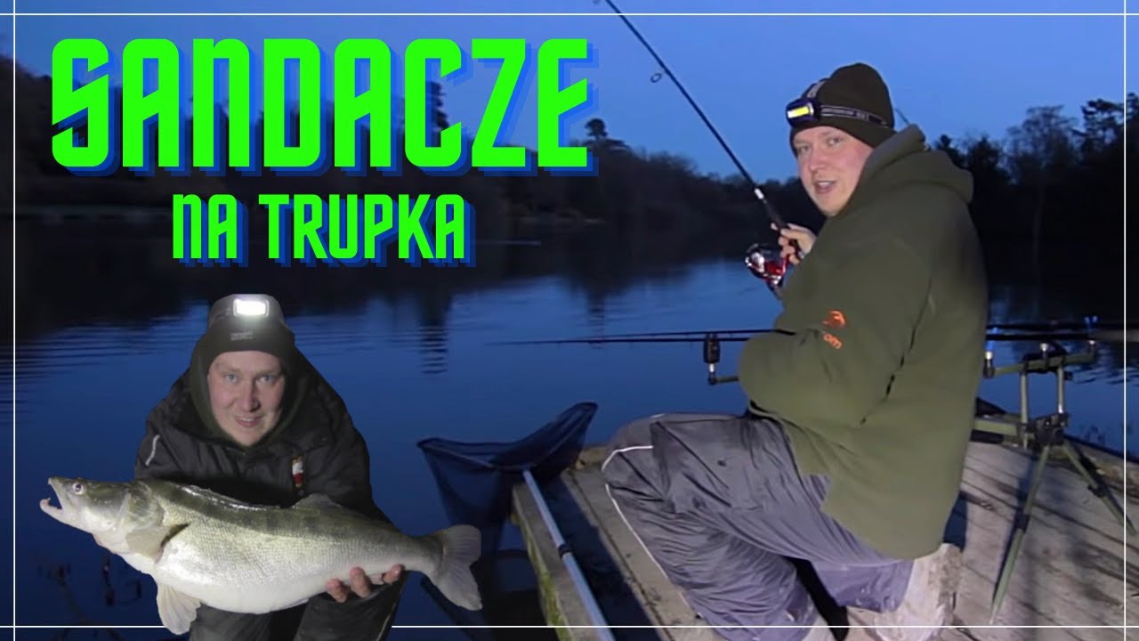 Metoda na Sandacze #2  Jak złowić Sandacza na Trupka - WĘDKARSKI BZIK