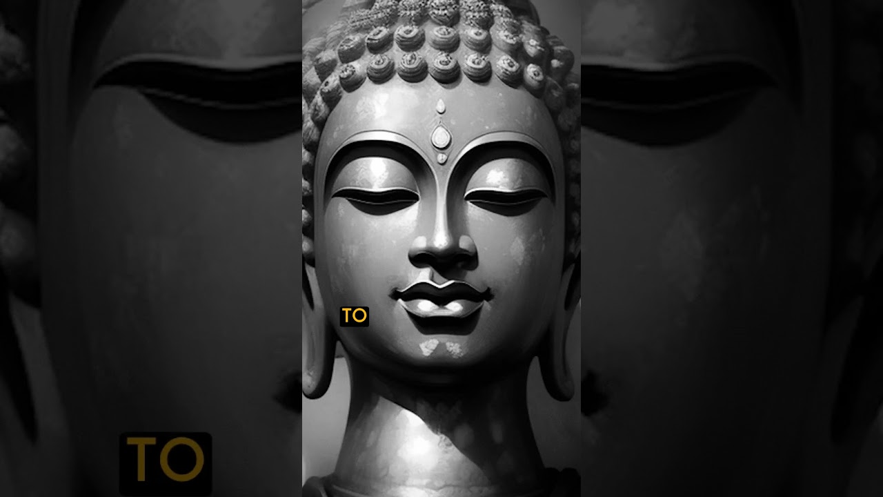 The Buddha on Karma & Free Will #buddha #buddhism #buddhateachings #freewill #philosophy #karma