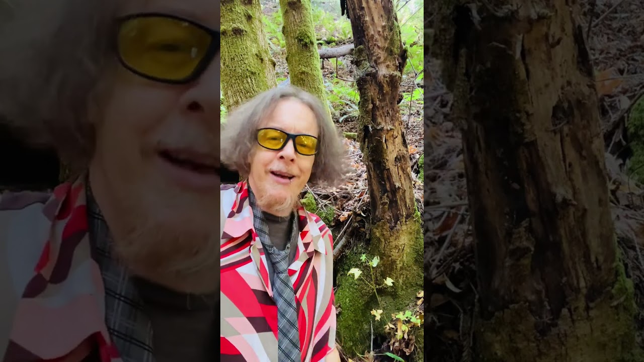 Forest Science…Part 5! 