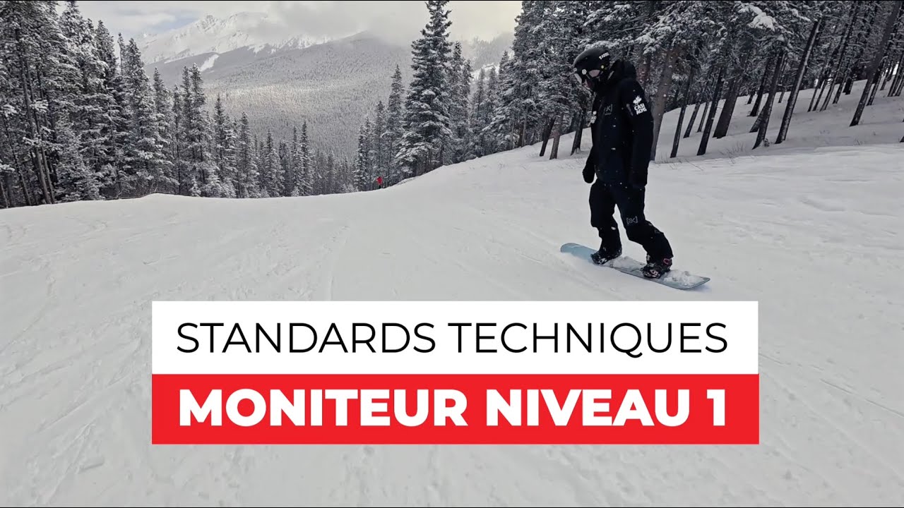 Moniteur de niveau 1 de l'ACMS : Standards techniques (2024)