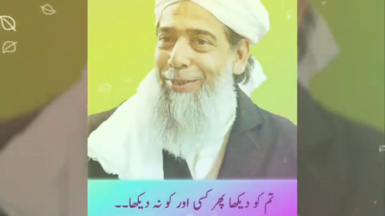Jamia arifia
