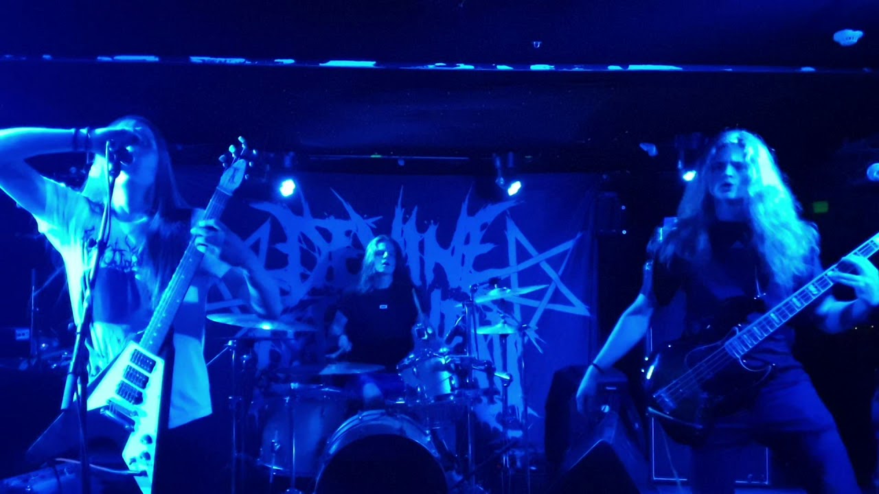 Blóðmör - Frumskógurinn (Live in Gaukurinn)