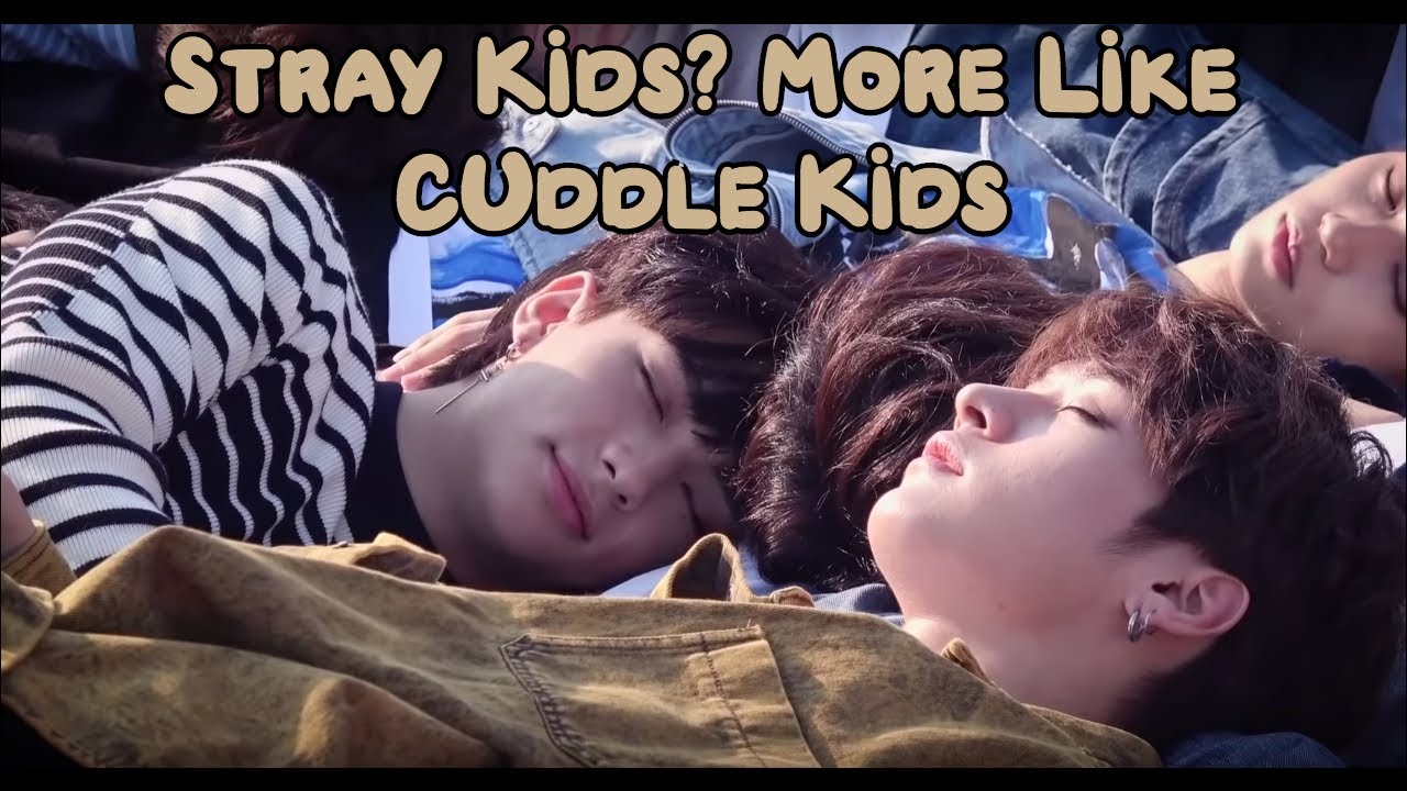 Stray Kids? More Like Cuddle Kids