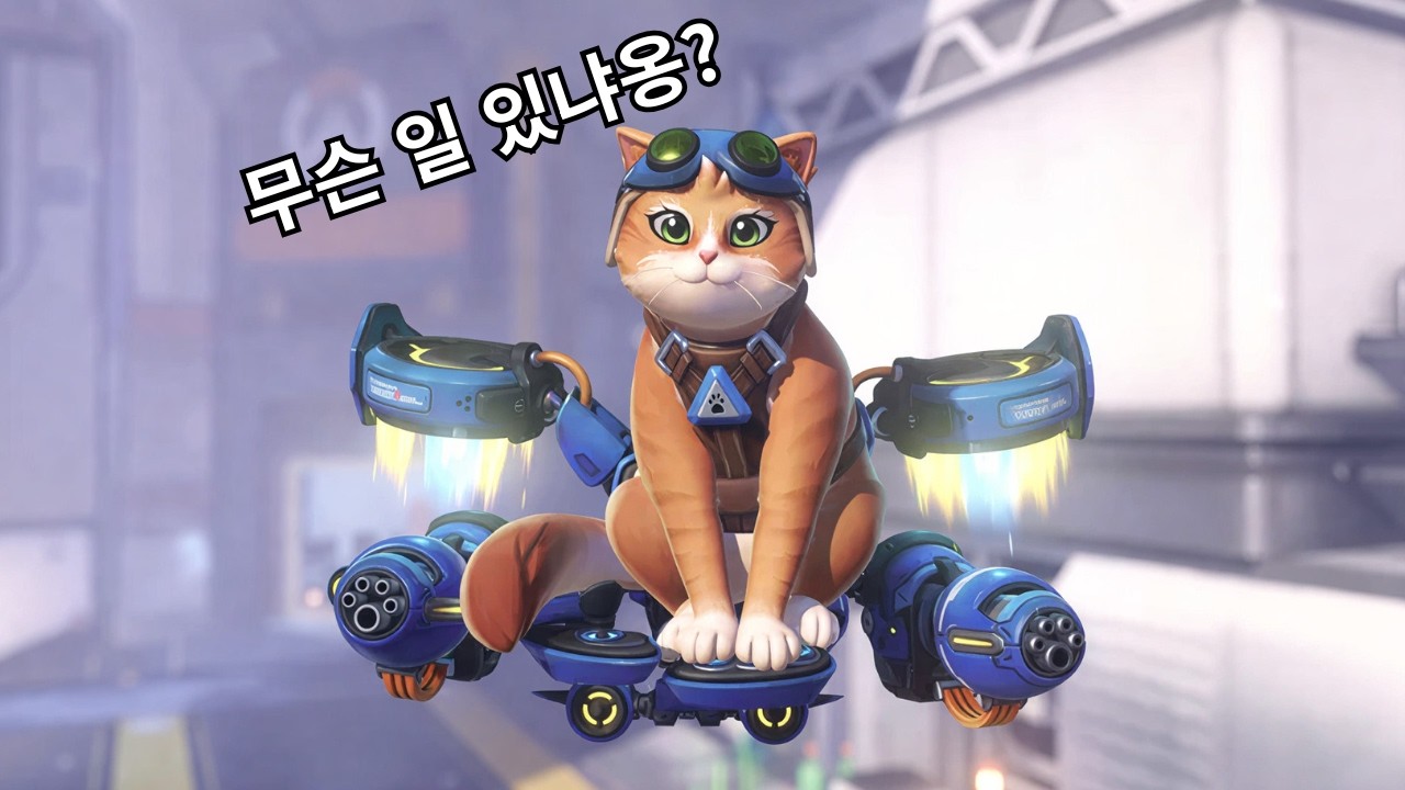 냐옹이의 반란
