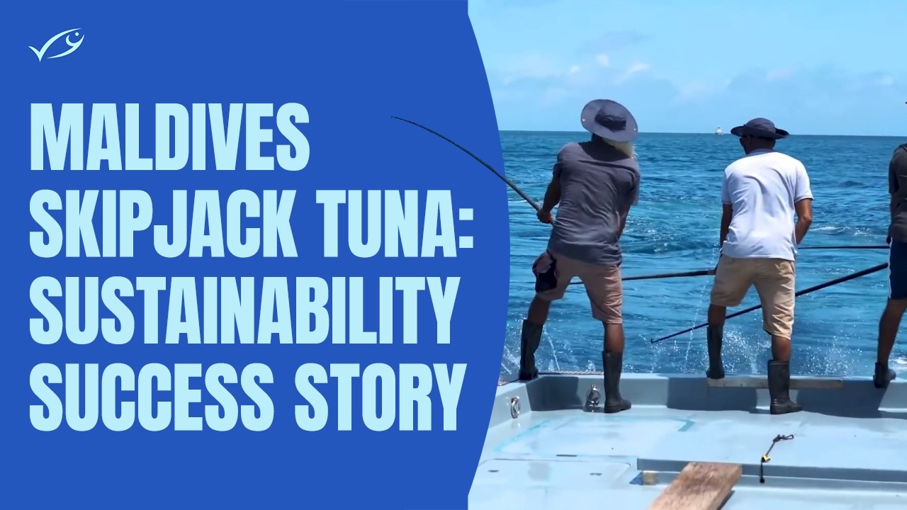 Maldives skipjack tuna: a sustainability success story