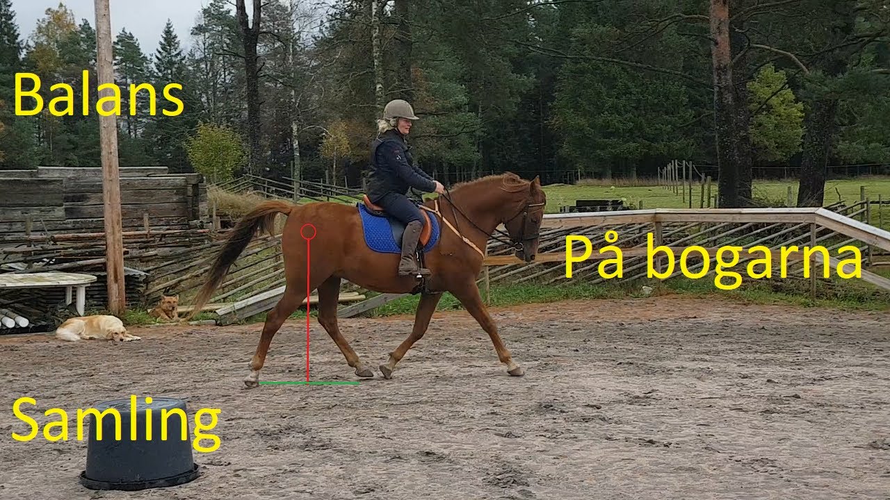 Balans - På bogarna - Samling