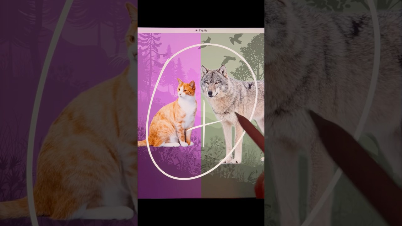 Cat 🐈 mixing with Wolf 🐺  - Cute and funny hybrid animal #shorts