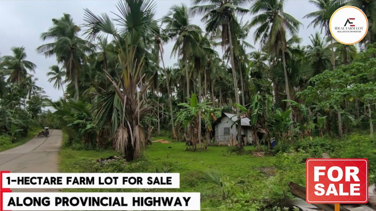 (Vlog#131) 1-Hectare farm lot. / Along provincial Highway flat land #ideal for retirement farm 🌴😊