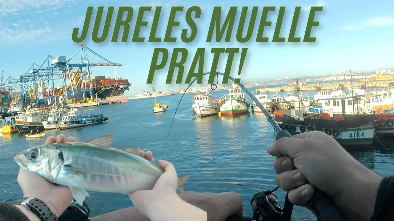 Pesca ul de jureles en el muelle Pratt! Valpara&iacute;so