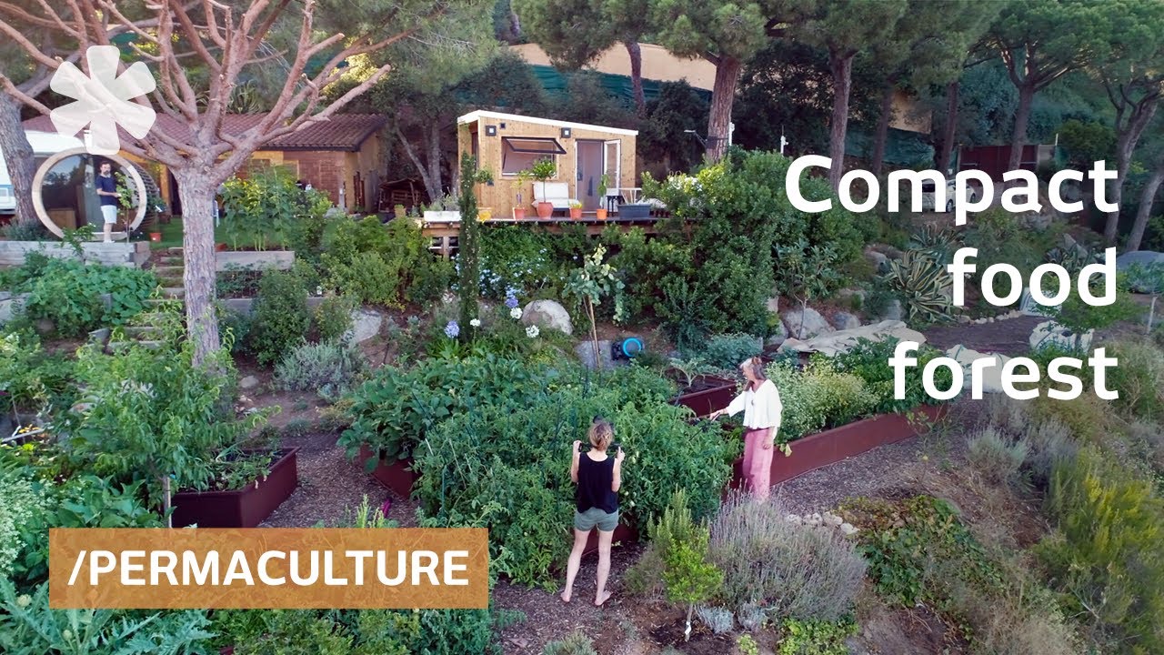 Clever microhome perches over compact food forest outside Barcelona