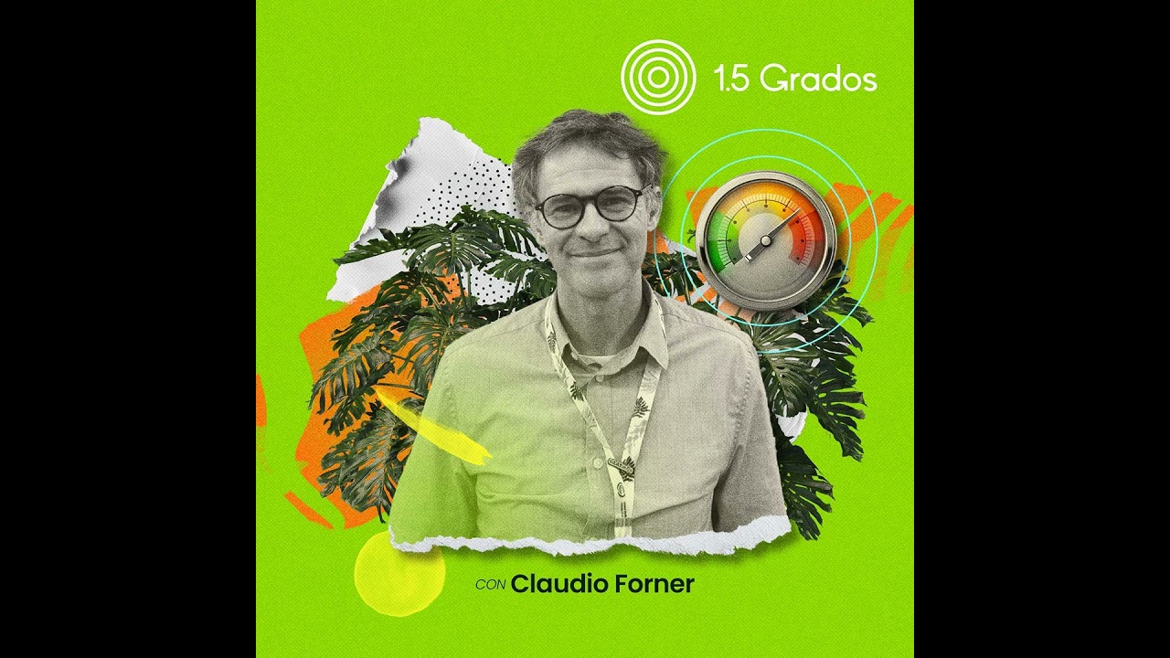 NDC, entre la ambición y la realidad