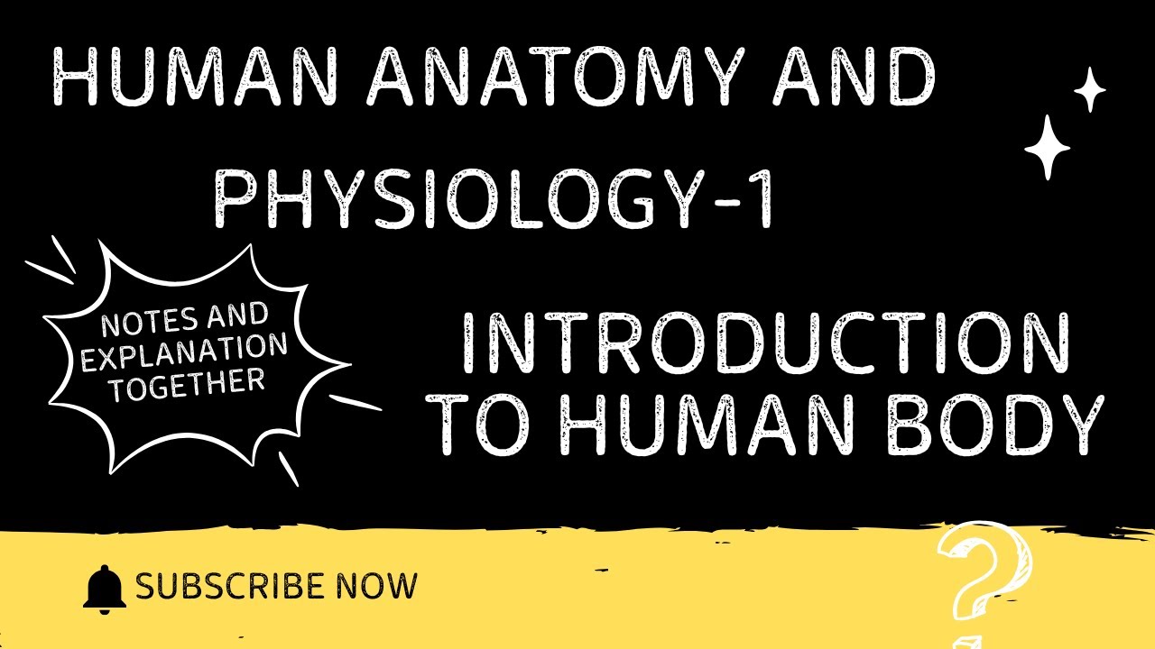HAP || Introduction|| Definition || Levels of structural organization || Body systems