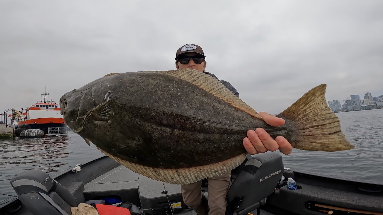 San Diego HALIBUT HUNT