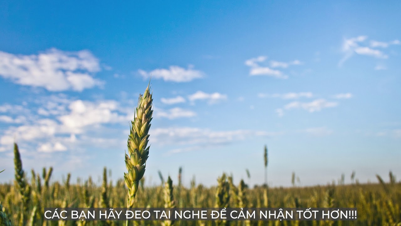 Nhạc thu h&uacute;t Hạnh Ph&uacute;c - Th&agrave;nh C&ocirc;ng trong - C&ocirc;ng Việc  - T&igrave;nh Y&ecirc;u - Gia Đ&igrave;nh