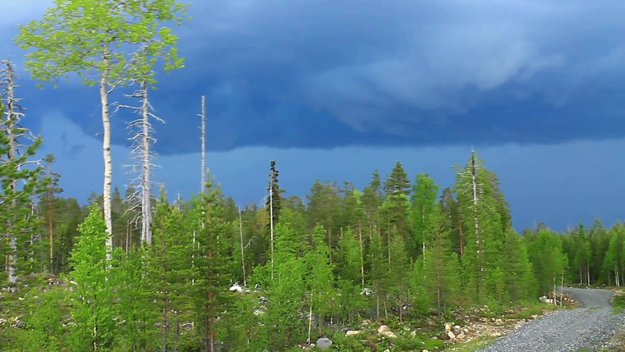 Ukkonen 1.6.2016 Suomussalmi, Juntusranta