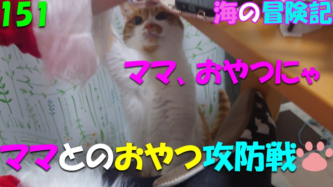 151　VSママ　おやつ攻防戦
