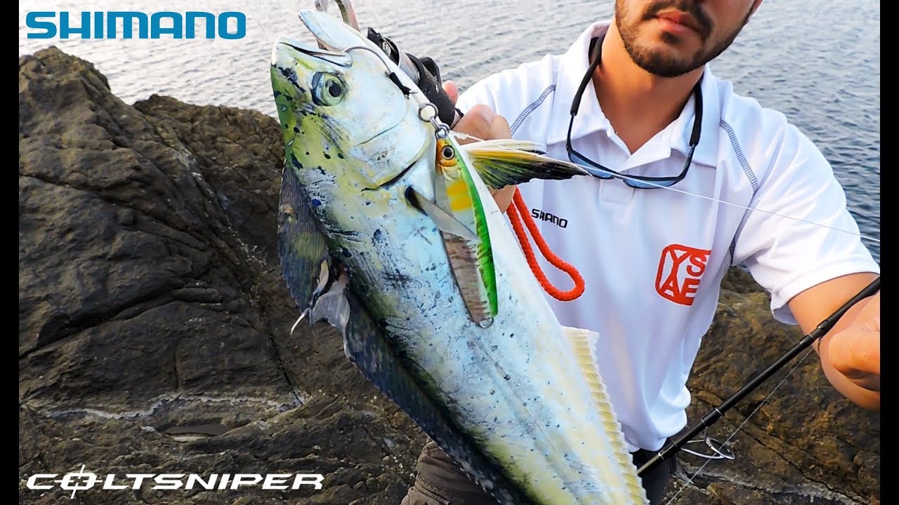 Shimano Coltsniper Fall