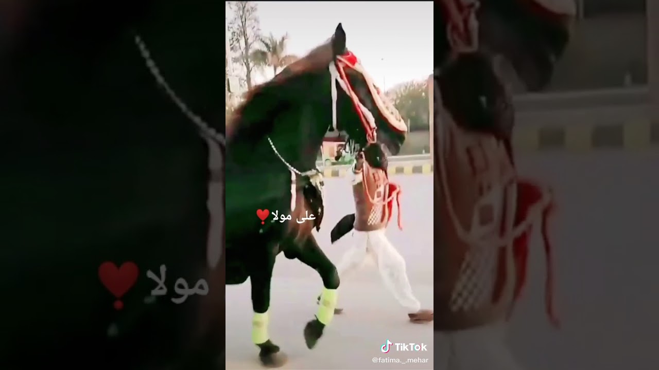 mola ali walay a jayan special video