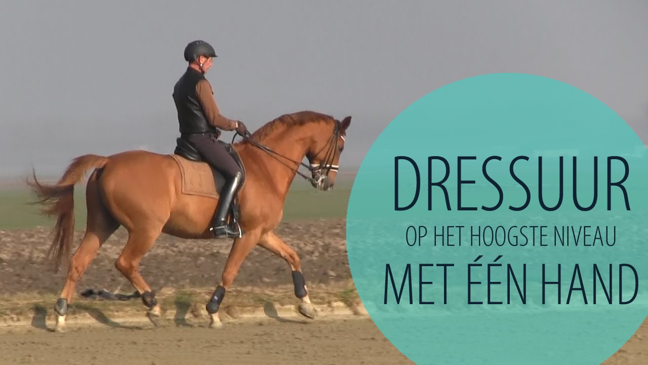 #8 Maarten van Stek: dressuur op het hoogste niveau met één hand