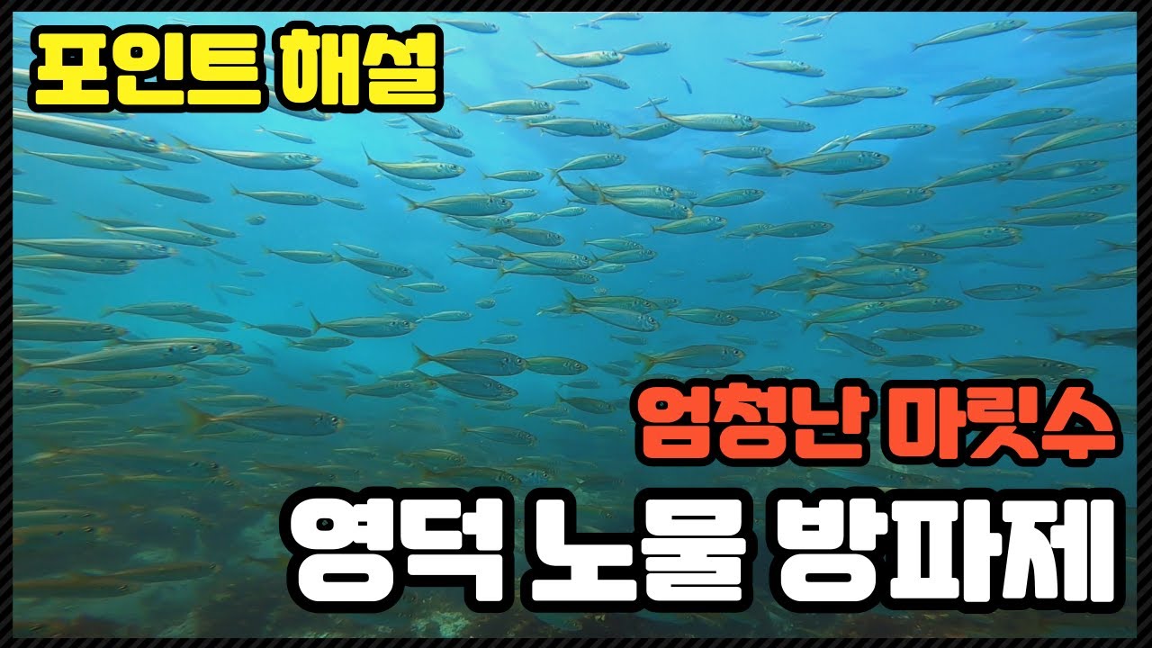 수중 포인트 해부. 영덕 노물 방파제