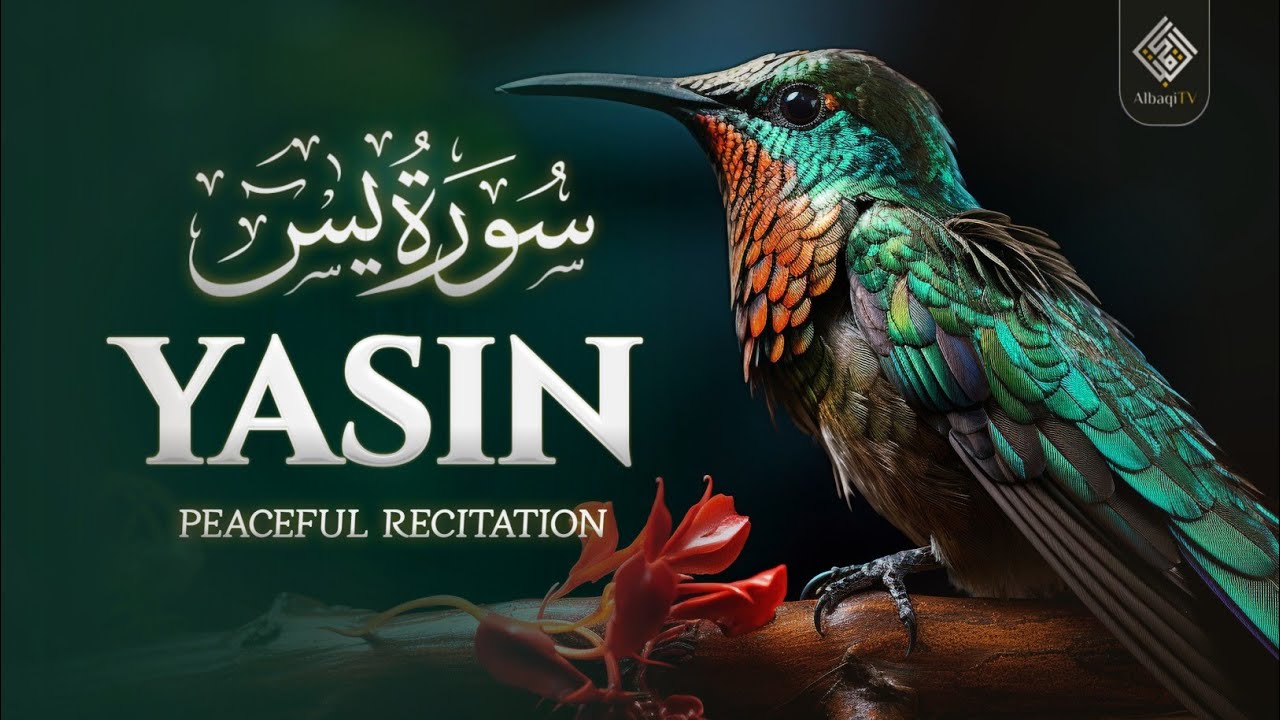 Relaxing Surah Yasin (Yaseen) سورة يس | Relaxing soul touching voice | AlBaqi TV