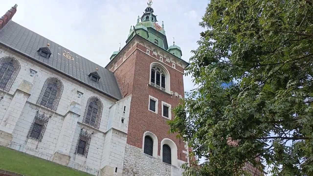 Dzwon Zygmunt - Dzwonienie z okazji święta Wniebowzięcia NMP