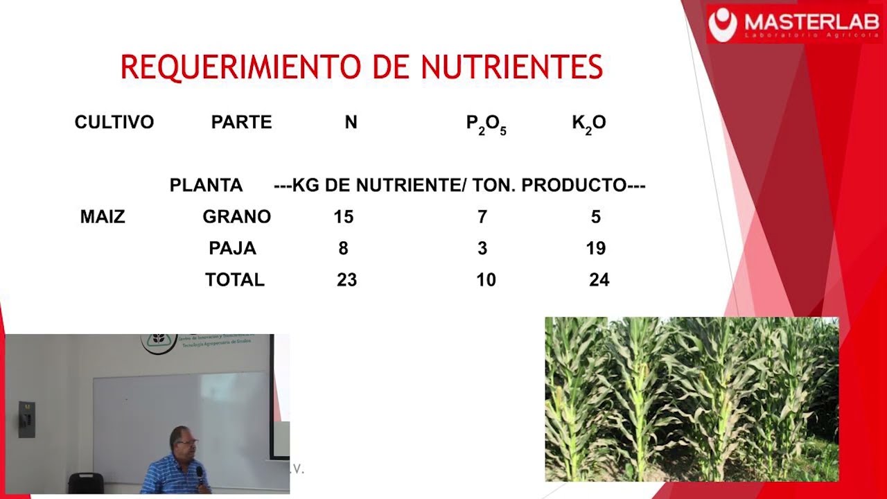 Importancia de los Análisis de Suelo y sus Componentes