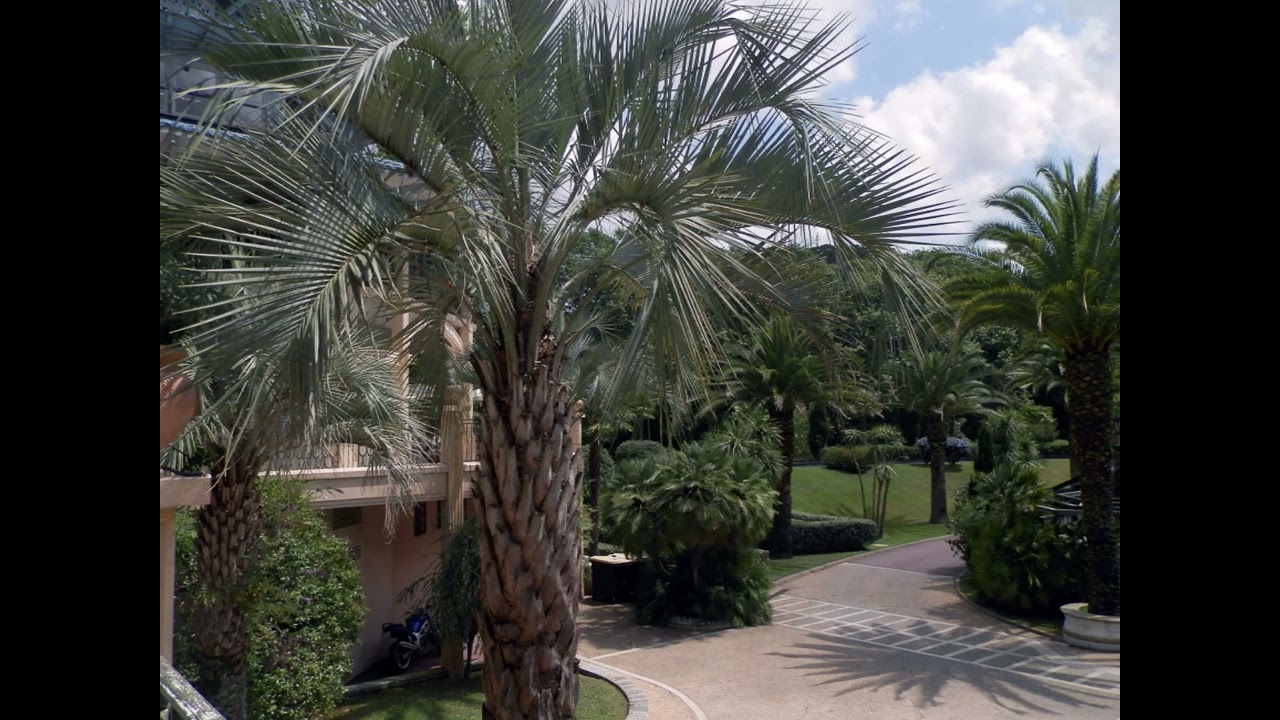 Les thermes de Cambo les Bains (64) HD