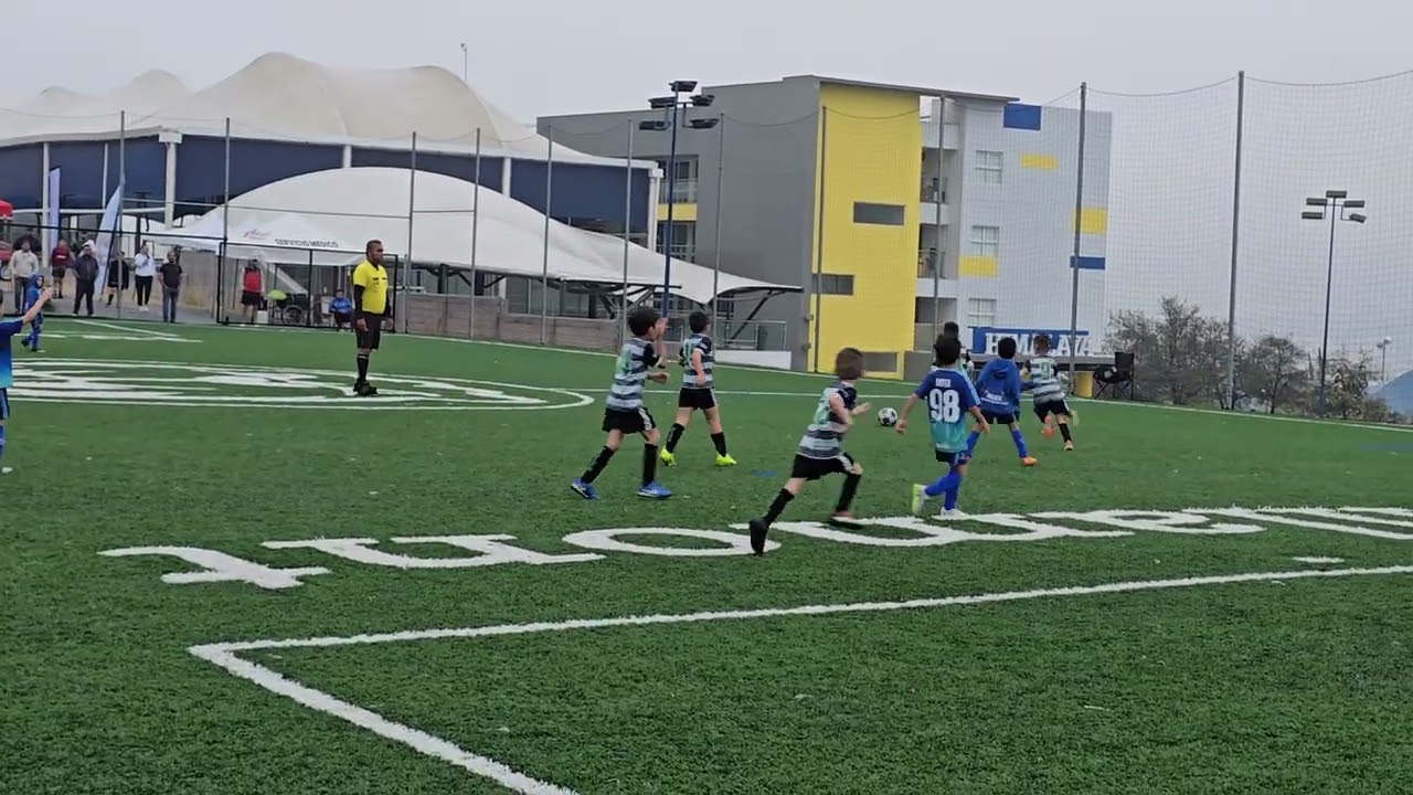 ⚽️[1/2] C. Ingles de Torreón Vs. Beavers. Copa Brillamont 2026. Categoria 2019