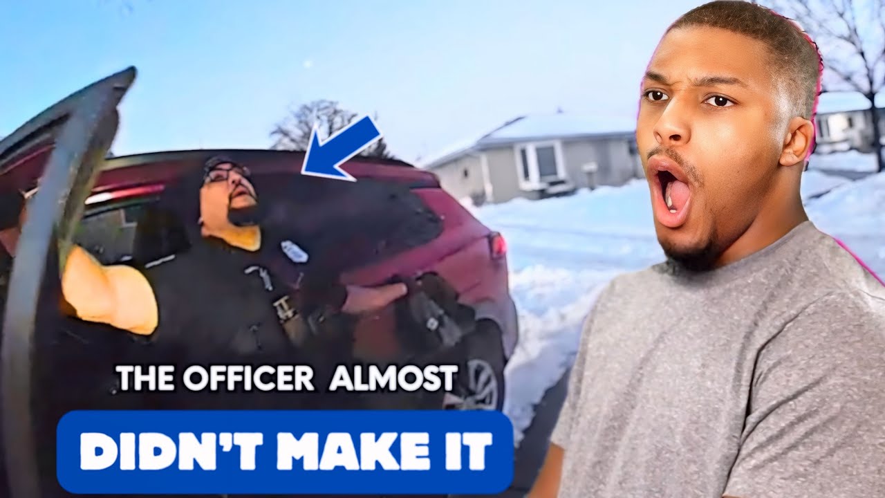 K9 Saves the Day After Stolen Vehicle Crashes | Reaction