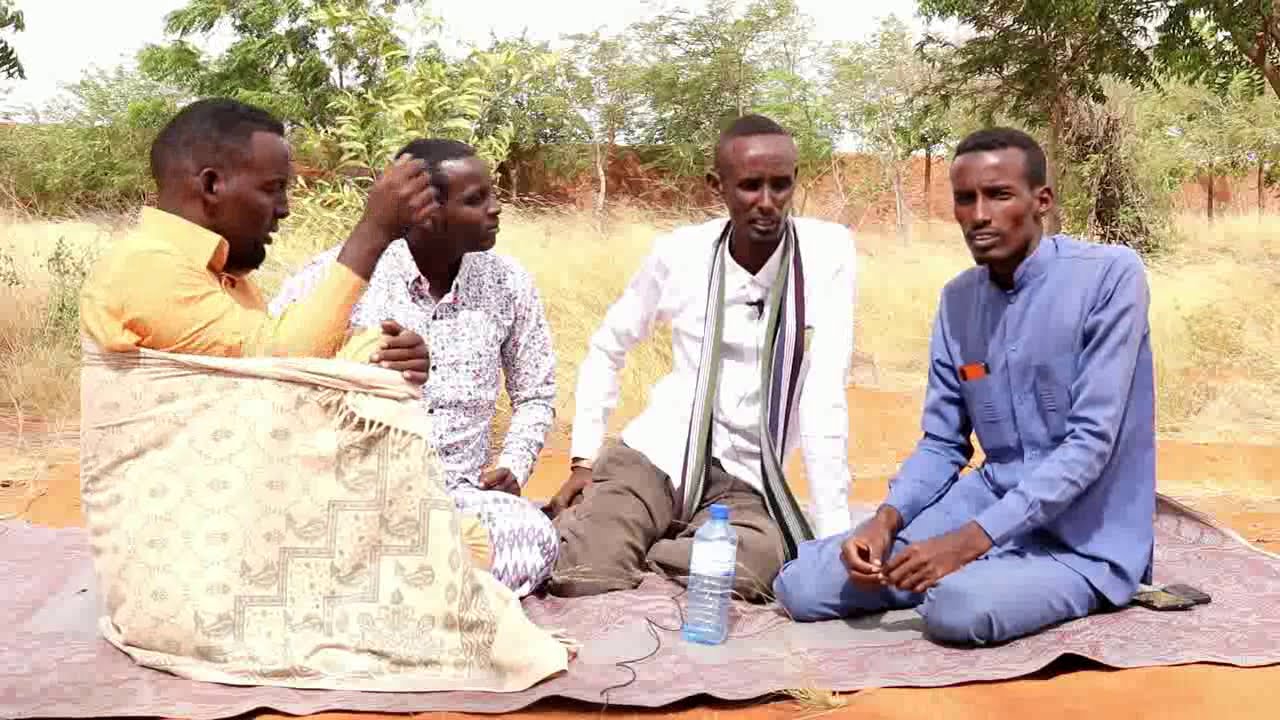 JACBUR IYO GABAYO QOSOL BADAN HANKOOLKA ABWAAN XIDIG AXMED CAAN IYO ABWAAN GALAD  QAYBTA 2AAD