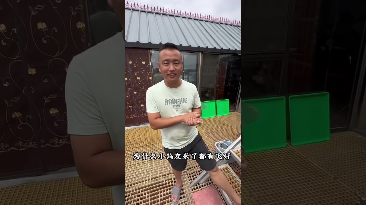 【赛鸽风云】中國最大職業賽場，小鴿友也能輕鬆贏得幾百萬獎金！